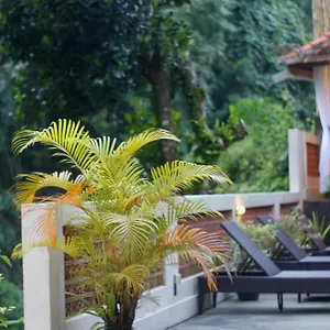  Maison d'hôtes Hanaka Riverside Indonésie